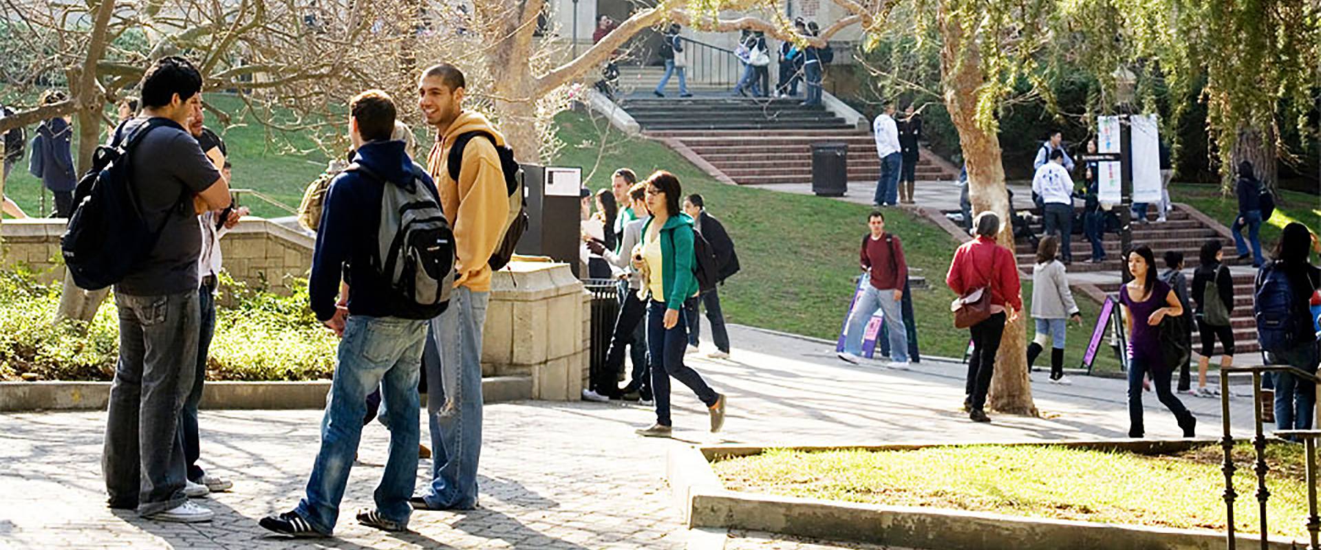 Annual Scholarship Essay Banner